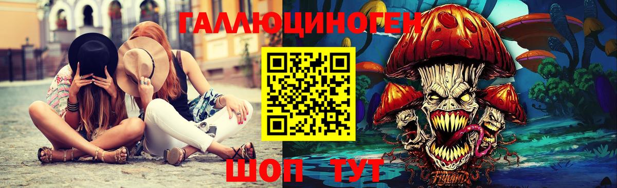 Карачаевск  Псилоцибиновые грибы GOLDEN TEACHER  Вход с VPN 